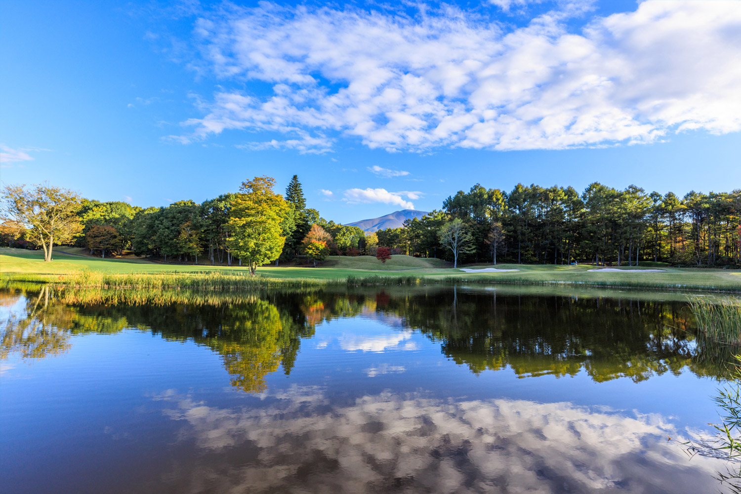 “Escape from Tokyo” in Karuizawa